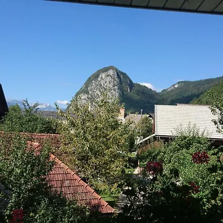 Apartmaji Marinka Hodnik Bohinj
