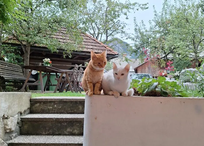 Apartmaji Marinka Hodnik