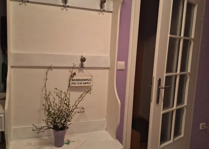 Apartmaji Marinka Hodnik 博希尼