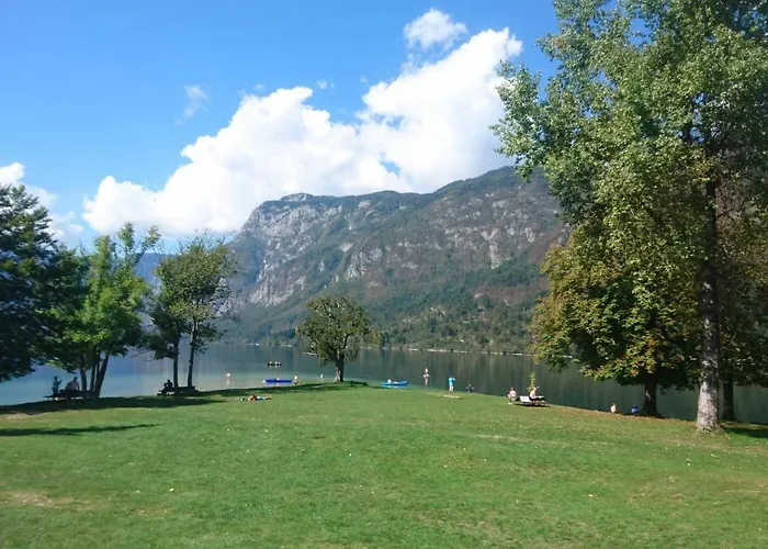 Apartmaji Marinka Hodnik 公寓 博希尼