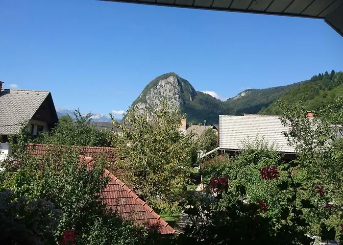 Apartmaji Marinka Hodnik 博希尼